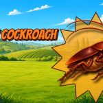 Angry Cockroach
