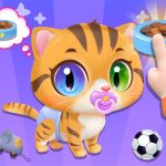 Baby Cat Daycare
