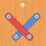 Nuts Bolts Screw Puzzle